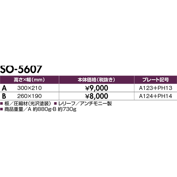 【表彰楯*】SO-5607
