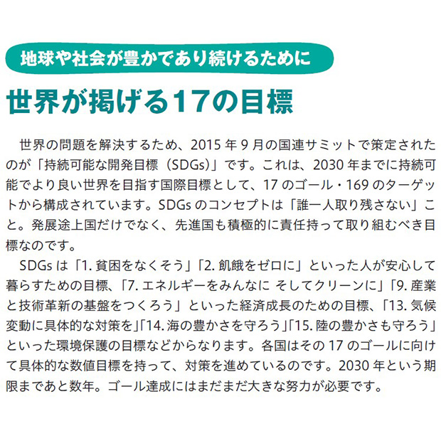 SDGsバッジ【トギエポ仕上げ】