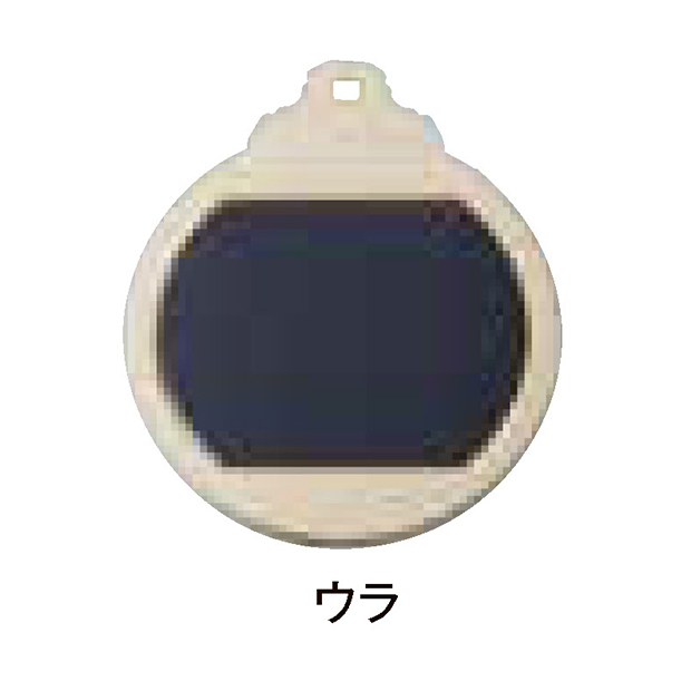 【種目選択メダル】LFC-46(21世紀メダル）☆