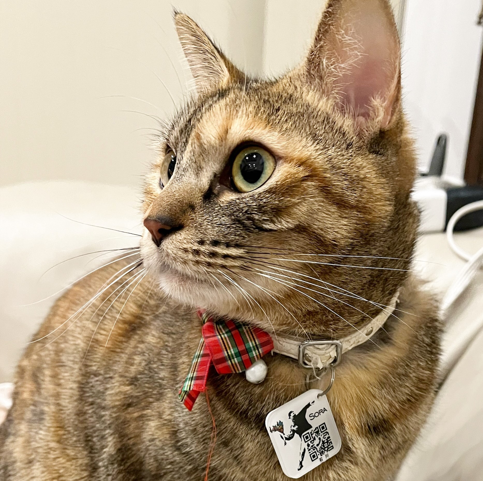 【名札】バンクシー【D3】　アクリル製 迷子札 QRコード付き！ UV印刷 愛犬 愛猫 ペット